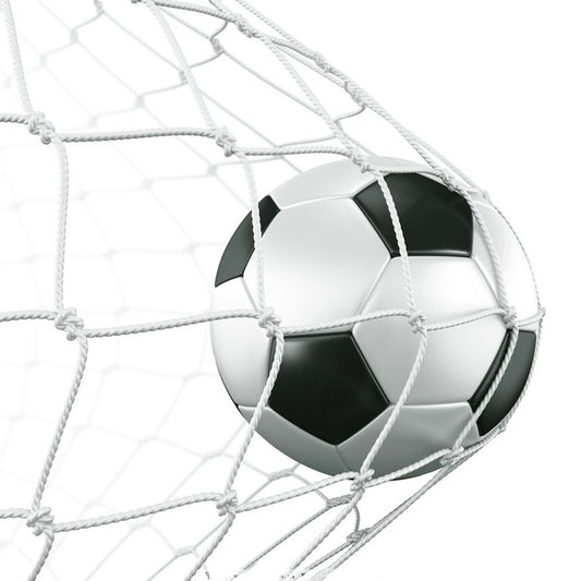 Multi-specification weather resistant football net